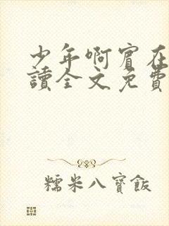 少年啊宾在线阅读全文免费阅读最新小说