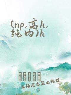 (np,高h,纯肉)h