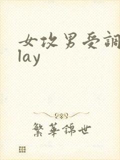 女攻男受调教play