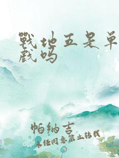 战地五是单机游戏吗