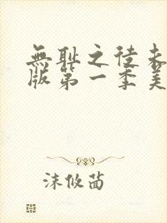 无耻之徒未删减版第一季美版