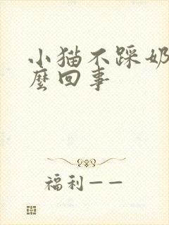 小猫不踩奶是怎么回事