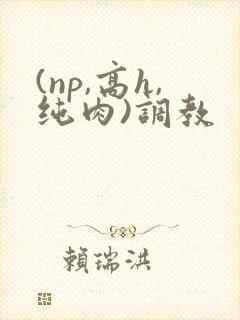 (np,高h,纯肉)调教