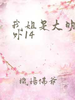 我姐是大明星番外14