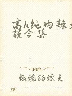 高h纯肉辣文小说合集