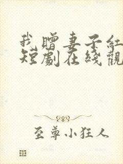 我赠妻子红缨枪短剧在线观看全集