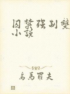 囚禁强制双男主小说