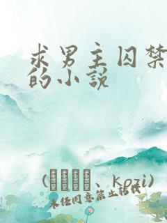 求男主囚禁女主的小说