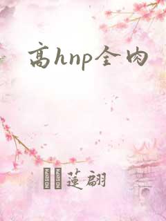 高hnp全肉