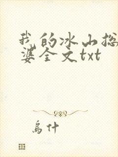我的冰山总裁老婆全文txt
