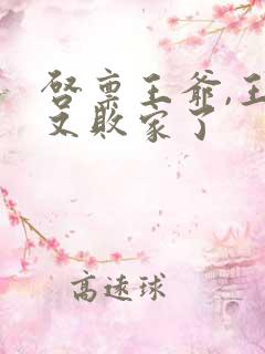 启禀王爷,王妃又败家了