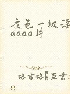 夜色一级淫片aaaaa片