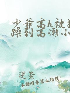 少爷高h被狂c躁到高潮小说