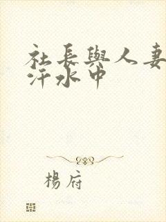 社长与人妻秘书汗水中