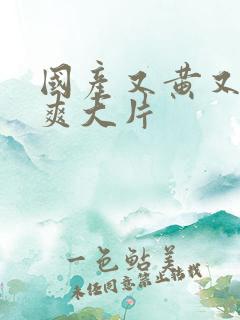 国产又黄又色又爽大片