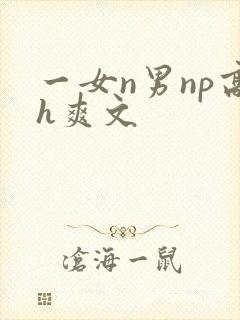 一女n男np高h爽文