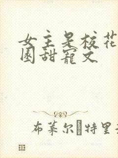 女主是校花的校园甜宠文