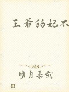 王爷的妃不是妃