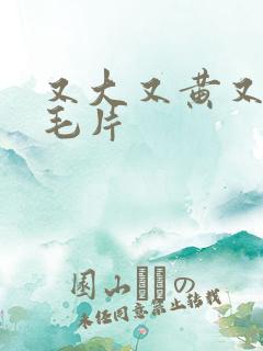 又大又黄又粗的毛片