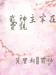 武神主宰在线免费观