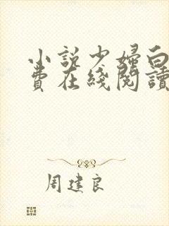 小说少妇白洁免费在线阅读