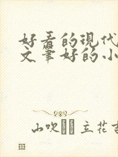 好看的现代言情文笔好的小说