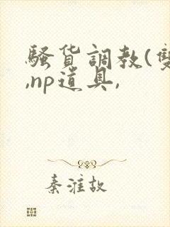 骚货调教(双性,np道具,