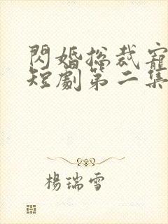 闪婚总裁宠上天短剧第二集在线观看