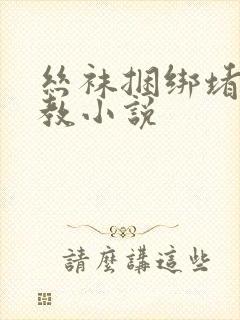 丝袜捆绑堵嘴调教小说