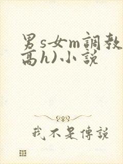 男s女m调教(高h)小说
