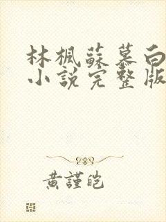 林枫苏慕白穿越小说完整版从哪里看