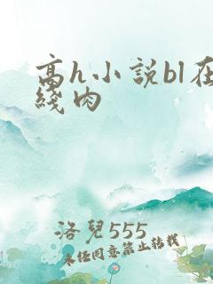 高h小说bl在线肉