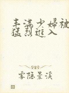 丰满少妇被粗大猛烈进入