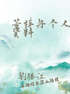 董梓丹个人简介资料