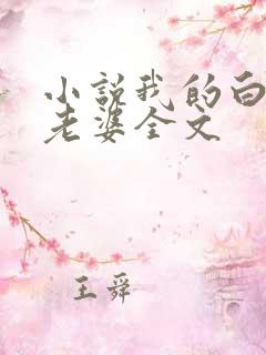 小说我的白富美老婆全文