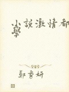 小说激情都市文学