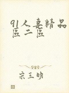 91人妻精品一区二区