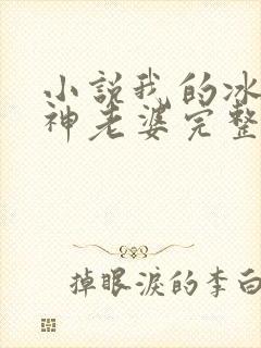 小说我的冰山女神老婆完整版