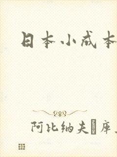 日本小成本电影
