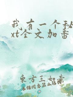 我有一个秘密txt全文加番外