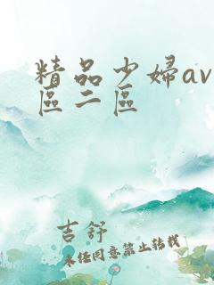精品少妇av一区二区