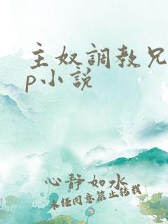 主奴调教兄妹np小说