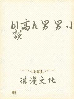 bl高h男男小说