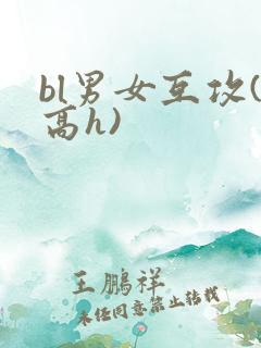 bl男女互攻(高h)