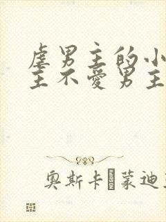 虐男主的小说女主不爱男主