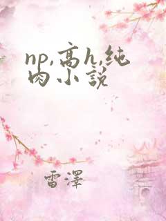 np,高h,纯肉小说