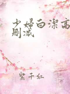 少妇白洁高义无删减