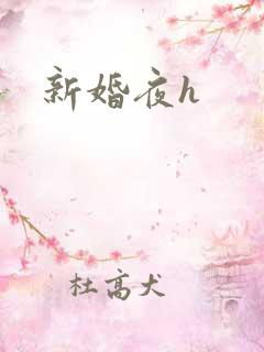 新婚夜h
