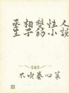 丞相双性人是受生子的小说