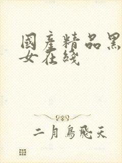 国产精品黑丝美女在线